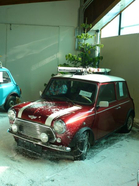 mini, diplom 101